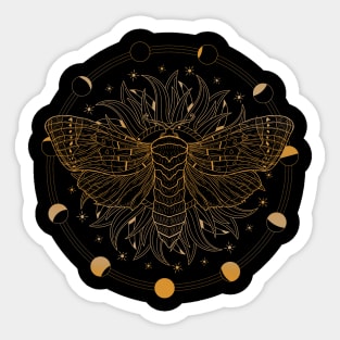 Satin Moth | Moon Phases Sticker